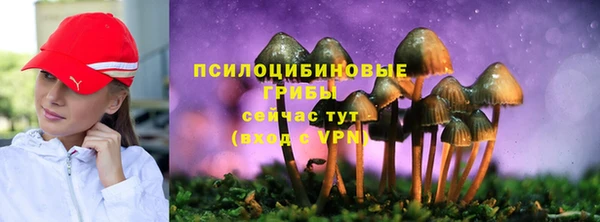 mdpv Дмитров