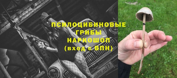 mdpv Дмитров