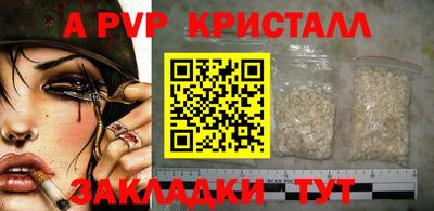 ГАЛЛЮЦИНОГЕННЫЕ ГРИБЫ Кингисепп