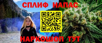 ГАЛЛЮЦИНОГЕННЫЕ ГРИБЫ Кингисепп