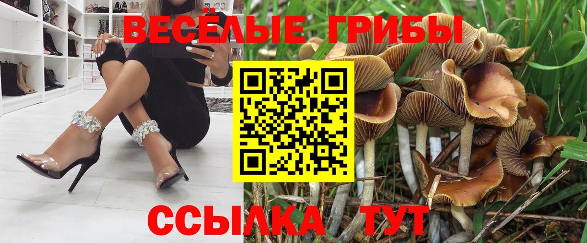 Псилоцибиновые грибы ЛСД Красноярск