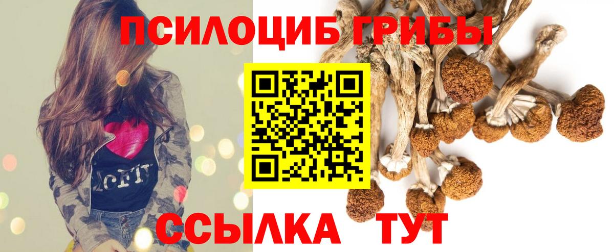 купить закладку  Вход с VPN  Красноярск  Галлюциногенные грибы MAGIC MUSHROOMS 